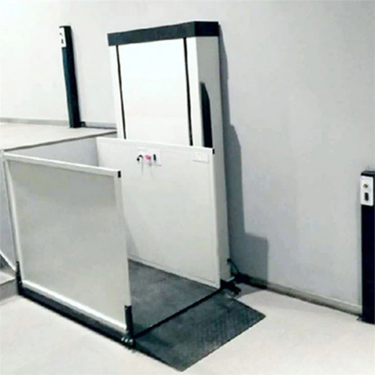 Elevator For The Handicapped